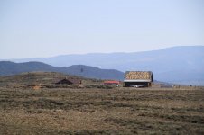 IMG_7466.jpg