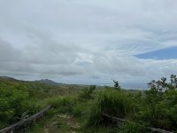 IMG_1635.jpeg IMG_1635.jpeg