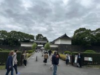 IMG_1729.jpeg IMG_1729.jpeg