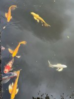 IMG_1759.jpeg IMG_1759.jpeg
