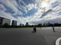 IMG_1774.jpeg IMG_1774.jpeg