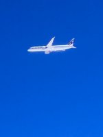 IMG_2019.jpeg IMG_2019.jpeg