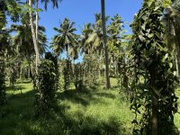 La Digue 3.jpg
