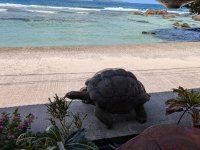 La Digue 24.jpg
