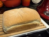IMG_9266.jpeg