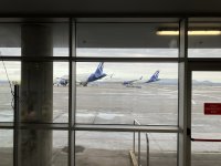 IMG_5194.jpeg