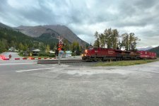 1734991456112.jpeg 1734991456112.jpeg