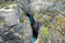 1734992031252.jpeg 1734992031252.jpeg