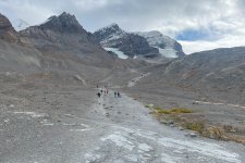 1734992372935.jpeg 1734992372935.jpeg