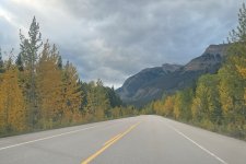 1734993023982.jpeg 1734993023982.jpeg