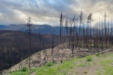 1734993032299.jpeg 1734993032299.jpeg