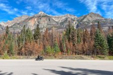 1734993343386.jpeg 1734993343386.jpeg