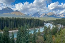 1734993853373.jpeg 1734993853373.jpeg