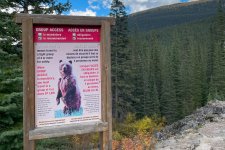 1734994248859.jpeg 1734994248859.jpeg