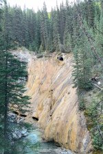 1734994411670.jpeg 1734994411670.jpeg