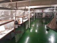 20241229_121639 - Kopie.jpg