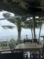IMG_1016.JPEG