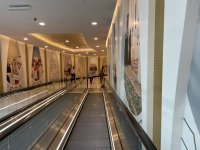 IMG_3393.jpeg