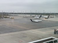 IMG_4443.jpeg