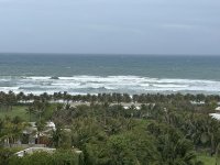 IMG_3802.jpeg