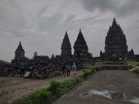 IMG_20241119_172212036_HDR.jpg