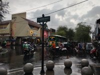 IMG_20241120_165800656.jpg