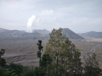 IMG_20241123_064650036.jpg