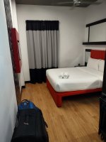 IMG_20241124_230842928.jpg