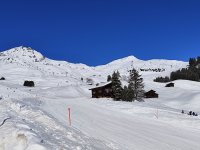 IMG_20250215_105604.jpg