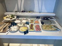 IMG_6881.jpeg