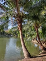 IMG_20241128_152302290_HDR.jpg