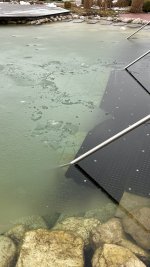 IMG_3891.jpeg