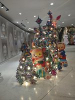 IMG_20241129_180035240.jpg