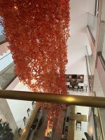 IMG_9161.jpeg