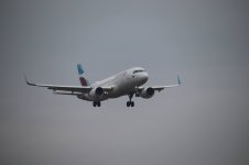 IMG_8398.JPG