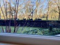 IMG_8600.jpeg