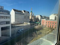 IMG_7925.jpeg