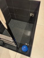 IMG_7950.jpeg