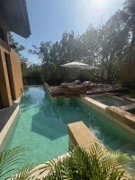 Banyan5.jpg