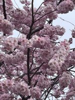 IMG_6297.jpeg
