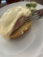 IMG_7341.jpeg