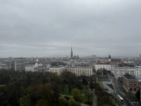 IMG_2973.jpeg