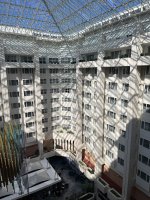IMG_9526.jpeg