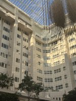 IMG_9541.jpeg