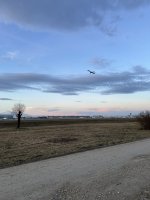 IMG_2590.jpeg