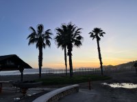 IMG_7831.JPG