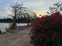 IMG_2719.jpeg
