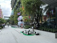 IMG_2731.jpeg