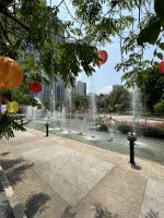 IMG_2733.jpeg