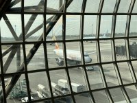 IMG_2739.jpeg